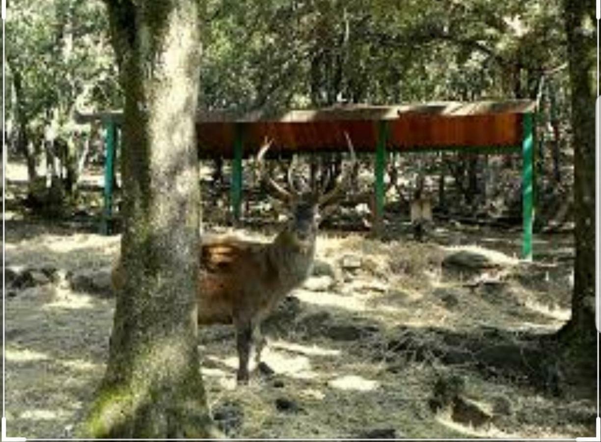 Casa Del Cicloturista Διαμέρισμα Santadi Εξωτερικό φωτογραφία
